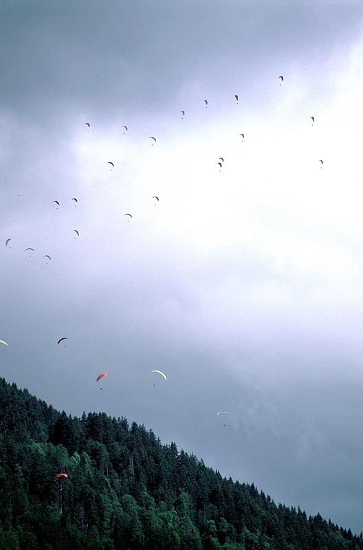 199908-34.jpg