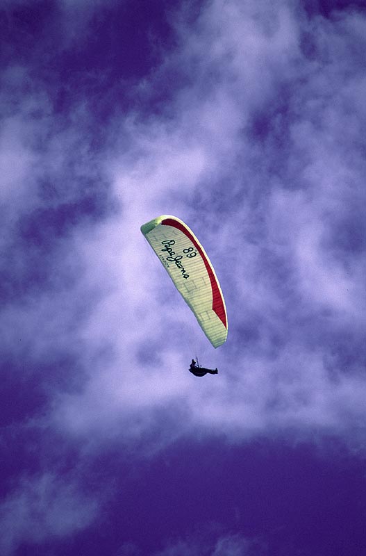 199908b-28.jpg
