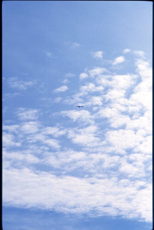 199910-17-Rapace.jpg