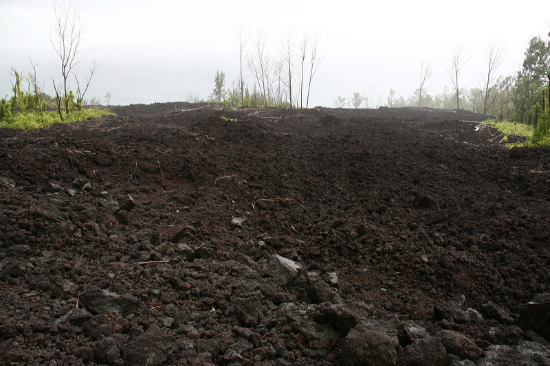 _mg_3637.jpg